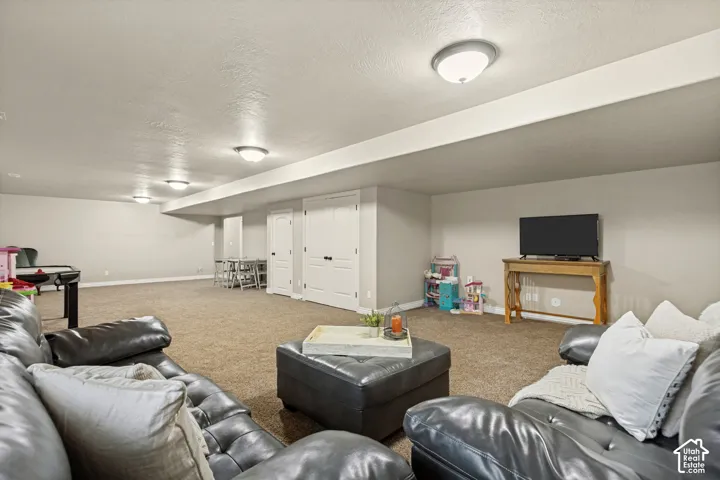 Expansive open-concept room featuring wall-to-wall carpeting, neutral interior wall paint, flush-mount lighting, and double-door closet storage