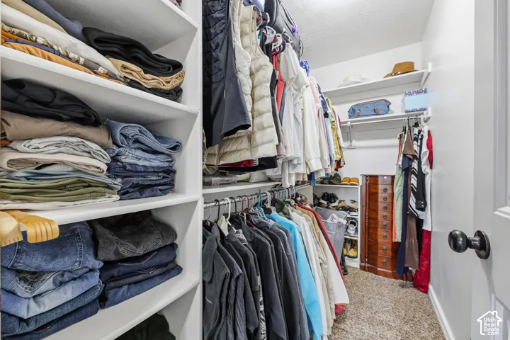 Walk-in closet featuring white built-in shelving, hanging rods, and neutral carpeting