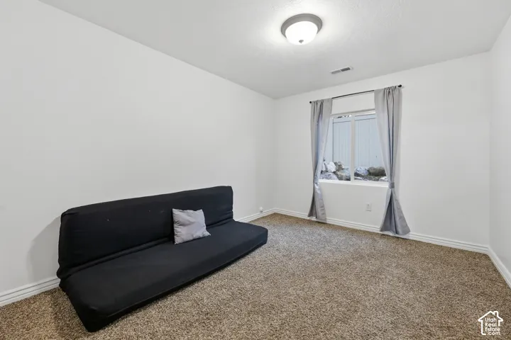 Neutral-toned room featuring neutral wall-to-wall carpeting, white walls, a flush-mount ceiling light fixture, and a window with exterior stone landscaping visible