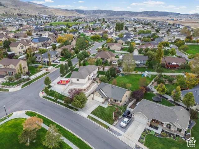 Aerial perspective of a residential neighborhood featuring asphalt paved streets, concrete driveways, manicured green lawns, and mature landscaping