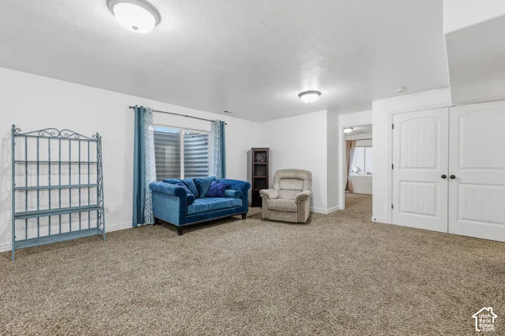 Neutral wall tones, wall-to-wall carpeting, dual flush-mount ceiling light fixtures, a single-window egress assembly, and double-panel doors