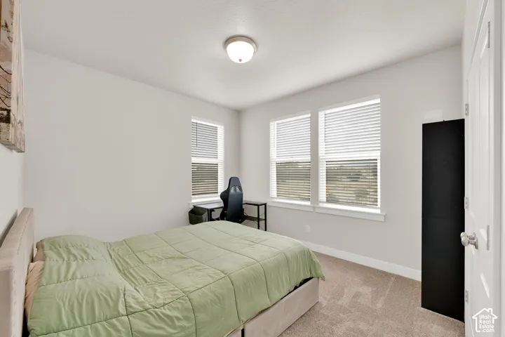 Neutral wall palette, carpeting, dual windows, and a ceiling-mounted light fixture