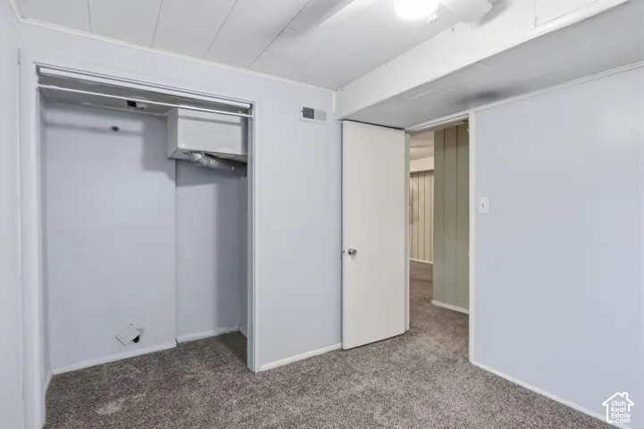 Neutral-toned wall paint, neutral carpeting, ceiling-mounted light fixture, and closet with built-in shelving