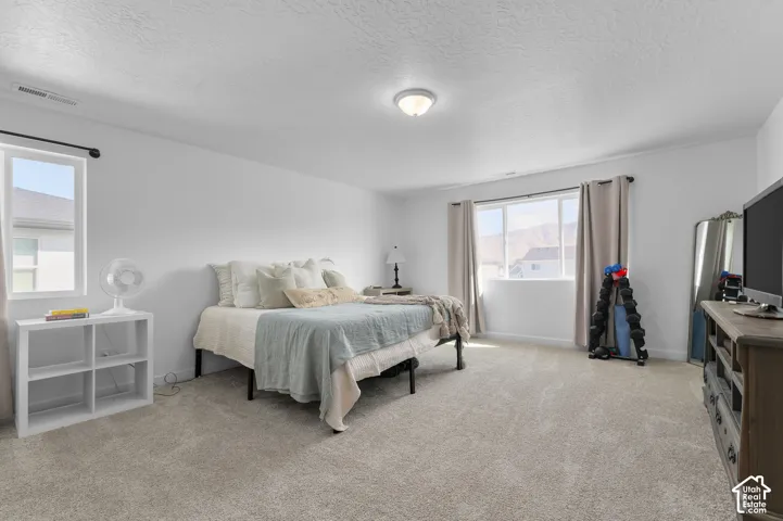 Spacious room featuring neutral carpeting, dual windows, and ceiling-mounted light fixture