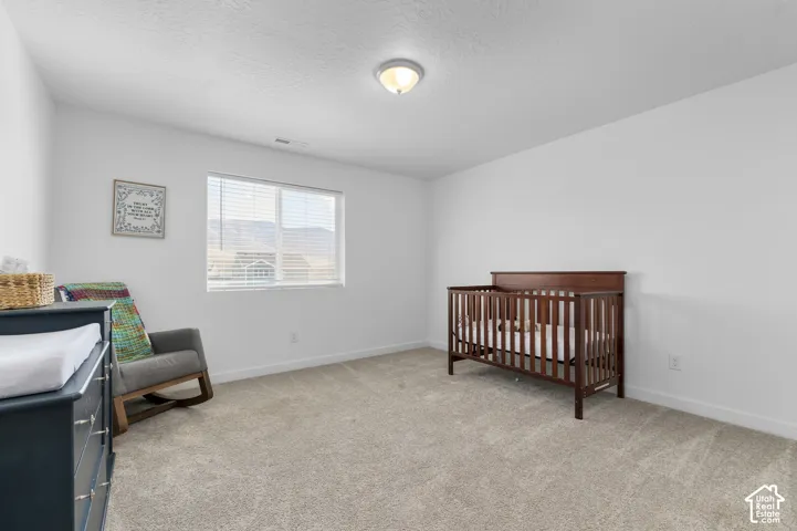 Neutral interior room featuring neutral carpeting, white walls, flush-mount lighting, and a window with mountain scenery