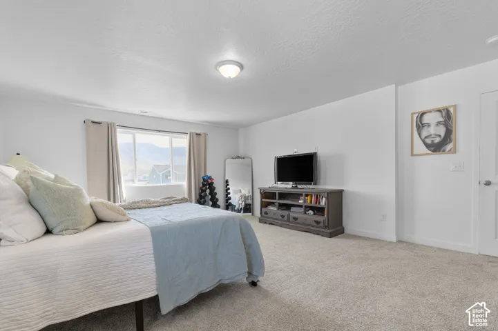 Neutral interior with wall-to-wall carpeting, overhead flush-mount lighting, and large window with natural light