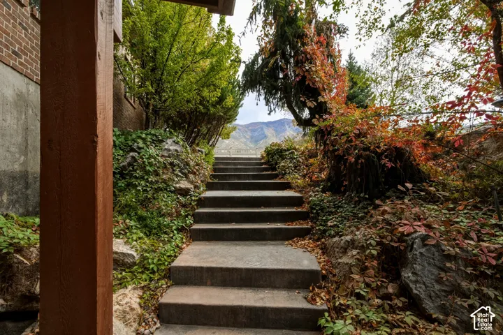Concrete stairs framed by mature trees, natural rock outcroppings, and mountain scenery
