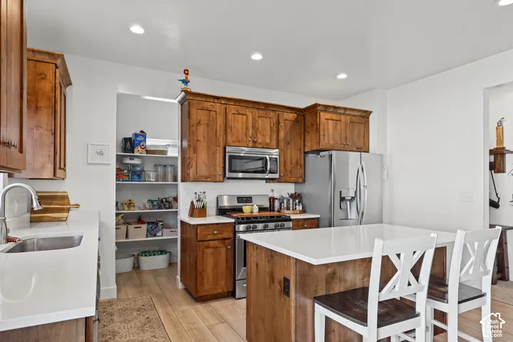 804 W Walnut Bark Ln, Mapleton, Utah 84664