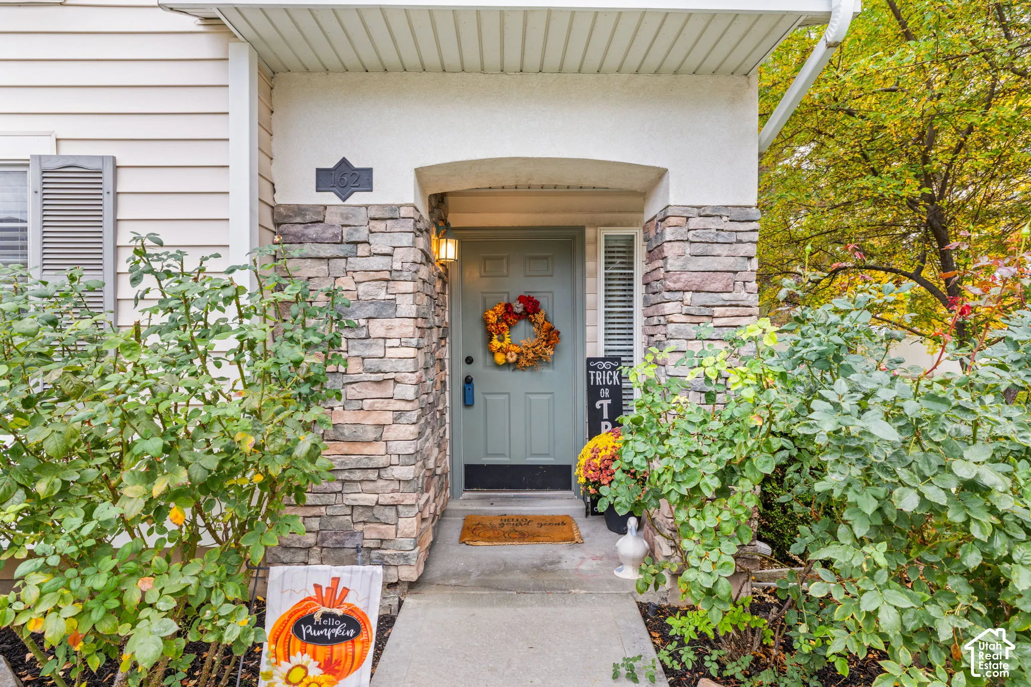 Covered entryway featuring stone veneer accents, concrete walkway, and sidelight window