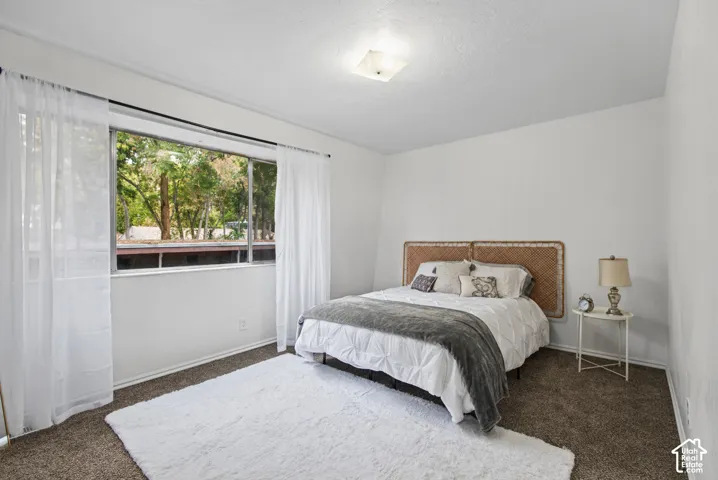 Spacious room featuring neutral wall tones, wall-to-wall carpeting, and a large horizontal window providing natural light