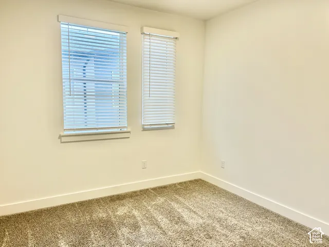 Neutral wall paint, plush carpeting, and two windows featuring horizontal blinds