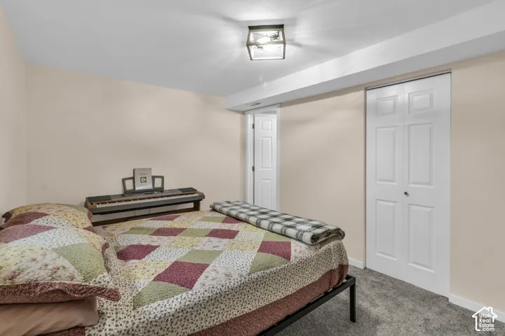 Neutral-toned interior featuring carpeted flooring, a white paneled closet door, a secondary interior door, and a geometric flush-mount light fixture