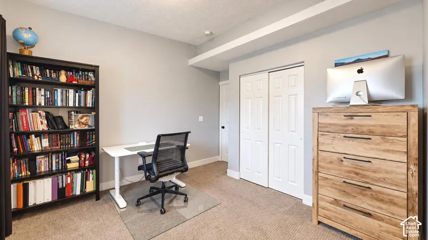 Neutral-toned room featuring carpeting, a double-panel closet door, and a textured ceiling