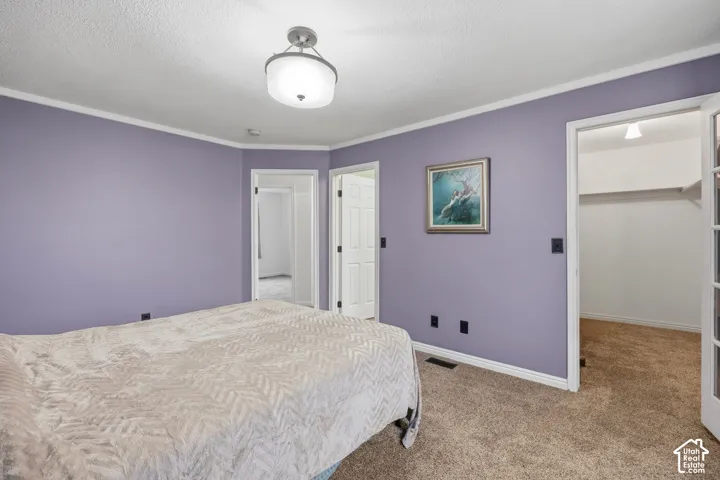 Textured ceiling with semi-flush mount lighting, carpeted flooring, and walk-in closet with built-in shelving