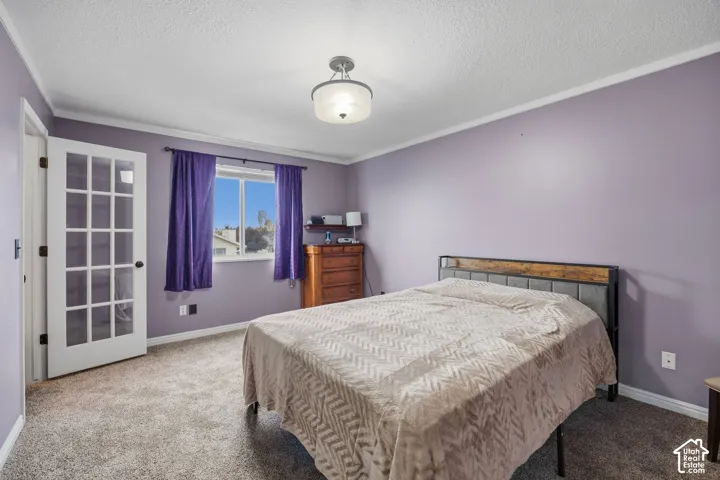 Room featuring wall-to-wall carpeting, a multi-pane glass-panel door, and a semi-flush mount drum light fixture
