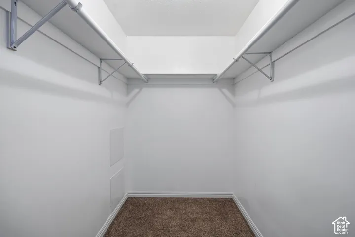 Walk-in closet featuring wall-to-wall carpeting and dual-level metal shelving racks