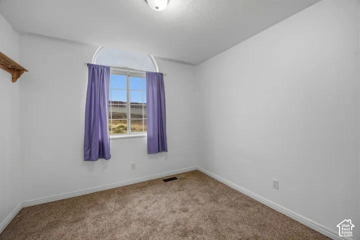 Interior space featuring wall-to-wall carpeting and an arched window with integrated mountain and landscape scenery