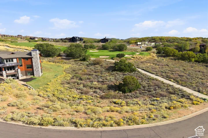 Expansive lot featuring natural landscaping and mature trees, with a paved road frontage