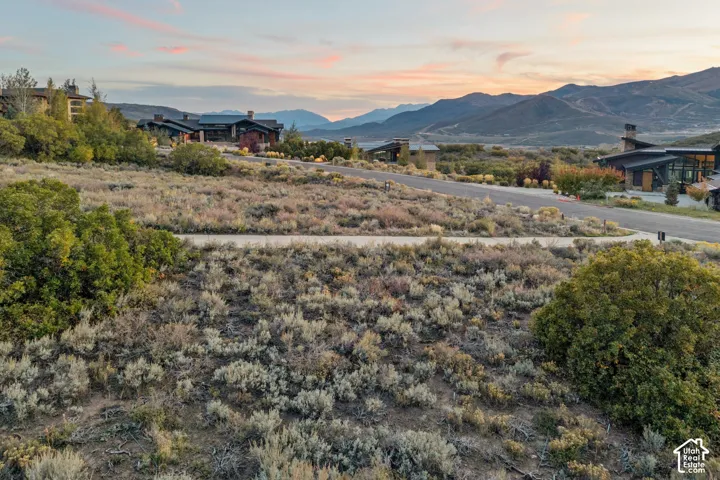 Expansive landscape featuring natural vegetation and a paved roadway
