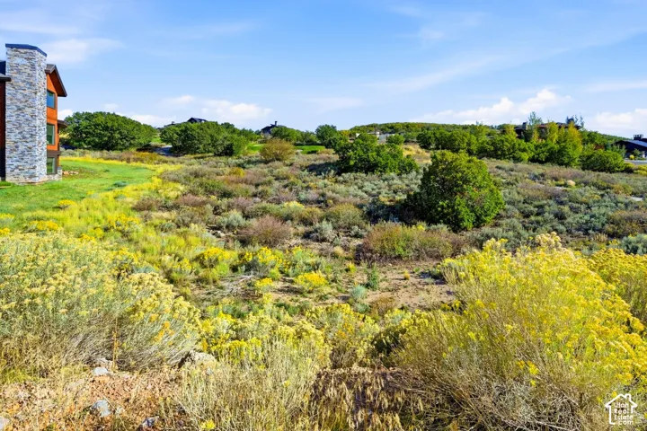 Expansive undeveloped terrain featuring diverse natural vegetation and a distant structure with stone and wood-finish siding