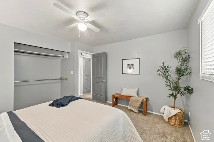 Neutral-toned interior featuring wall-to-wall carpeting, a ceiling fan with light fixture, a paneled door, and a reach-in closet with integrated shelving