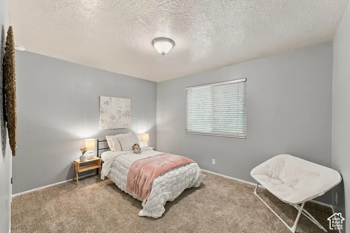 Neutral-toned walls, textured ceiling, carpeting, and flush-mount ceiling lighting