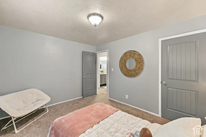 Neutral-toned wall paint, plush carpeting, multi-panel grey interior doors, and a central dome-style ceiling light fixture