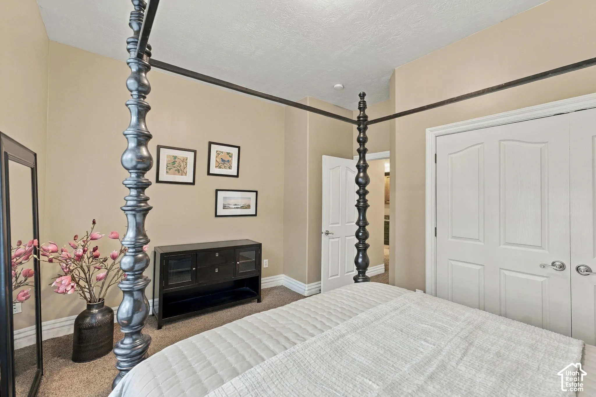 Downstairs Bedroom with Large Closet