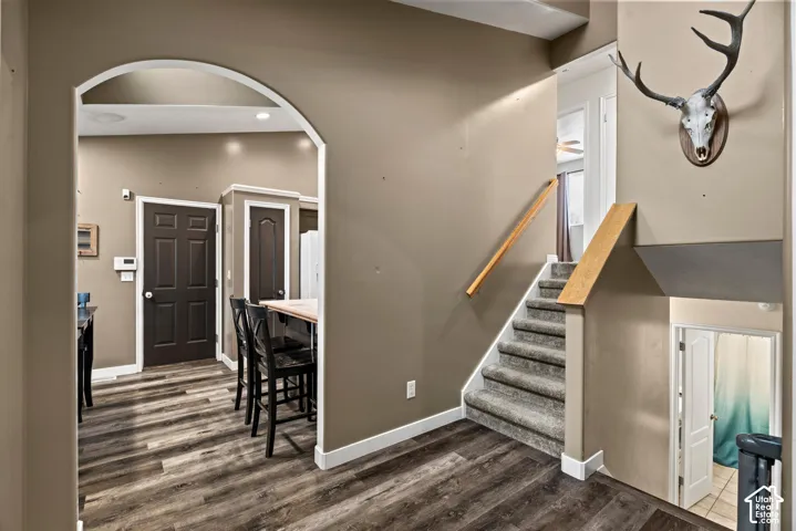 Interior entryway featuring a recessed arched opening, wood-finish flooring, carpeted stairs with a wooden handrail, and a raised ceiling