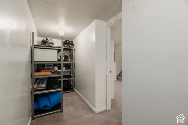 Storage area featuring wall-to-wall carpeting and neutral-toned wall paint