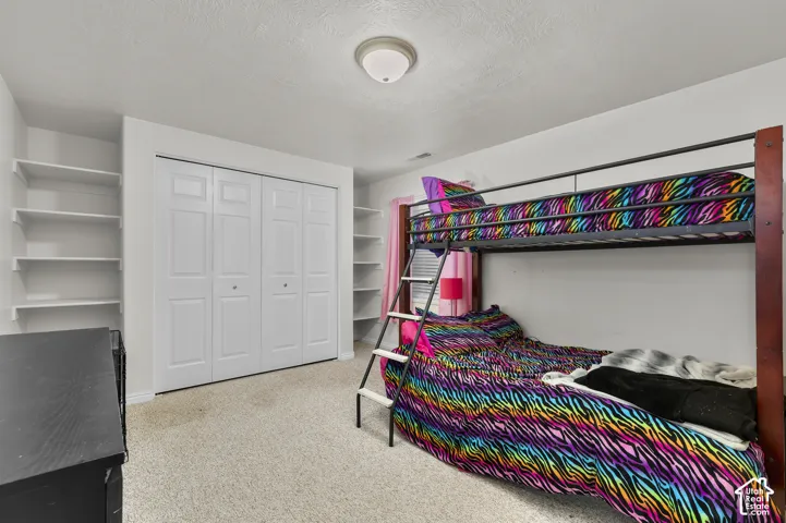 Room featuring neutral wall-to-wall carpeting, recessed closet with panel doors, and floor-to-ceiling built-in shelving