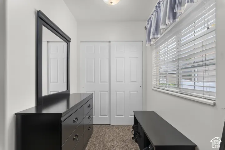 Interior room featuring neutral carpeting, a dual-panel sliding closet door, and a horizontal window with adjustable slat blinds