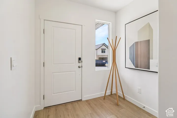 Entryway featuring a solid panel door, rectangular sidelight window, and wood-finish flooring