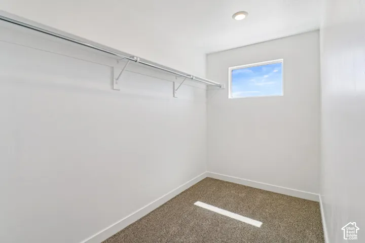 Walk-in storage space featuring neutral carpeting, a built-in metal hanging rod, and a rectangular window
