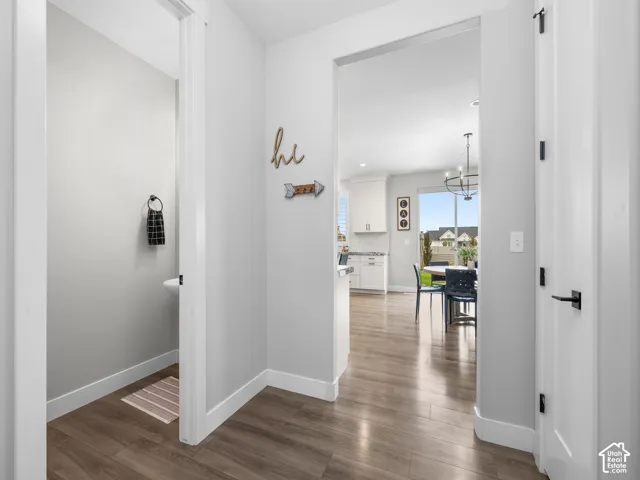 Neutral interior featuring wood-finish flooring, white paneled doors with matte black hardware, and crisp neutral wall paint