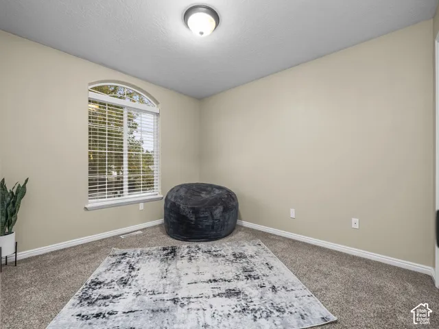 Neutral-toned interior space featuring wall-to-wall carpeting and a large arched-top window with horizontal blinds, illuminated by a ceiling-mounted flush mount light fixture