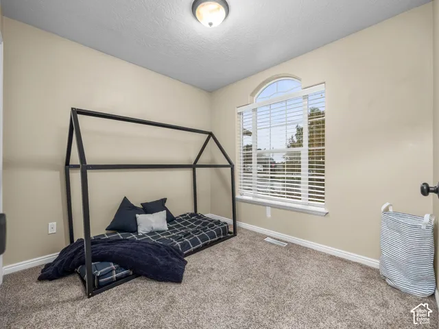 Interior room featuring neutral wall paint, wall-to-wall carpeting, an arched window with horizontal blinds, and a flush-mount ceiling light fixture