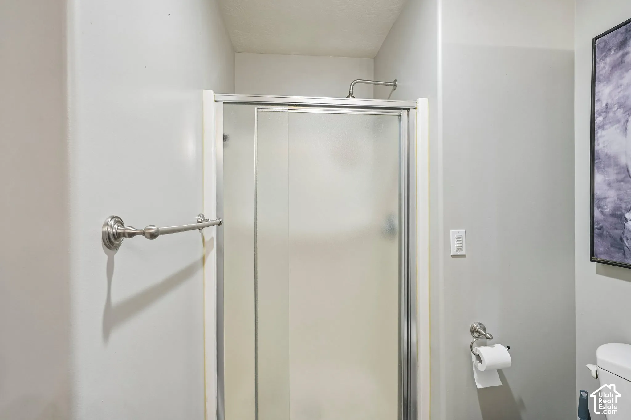 Shower enclosure with a brushed nickel-finish frame, frosted glass panels, and a mounted brushed nickel-finish towel bar