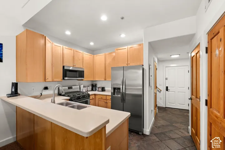 Kitchen featuring wood cabinetry, stainless steel appliances, a peninsula with a double-basin sink, and tile flooring