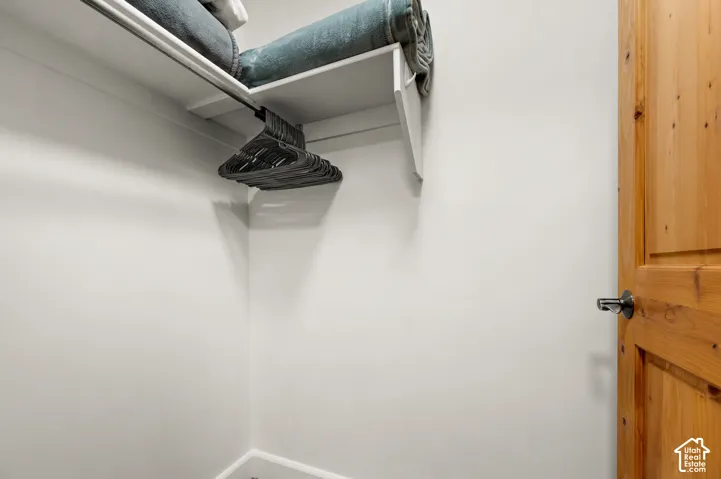 Storage area featuring white shelving, a metal clothes rod, and a solid wood door with a metallic lever handle