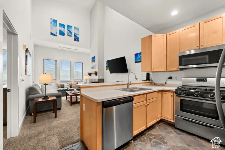 Kitchen featuring light-finish cabinetry, stainless steel appliances, and solid-surface countertops