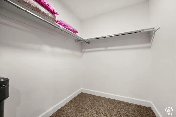 Walk-in closet featuring carpeted flooring and built-in metal shelving rods