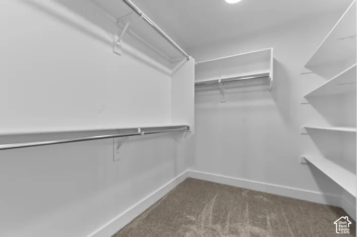 Walk-in closet featuring white shelving, integrated hanging rods, and neutral carpeting