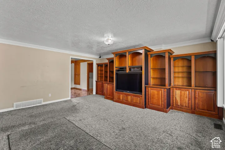 Built-in wood cabinetry with integrated shelving and crown molding, carpeted flooring, and ceiling-mounted lighting