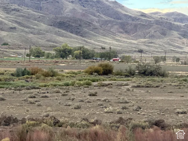 5 acre parcel near Elsinore