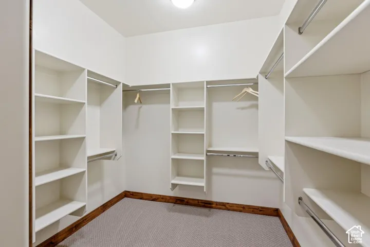 Walk-in closet featuring floor-to-ceiling built-in shelving, integrated hanging rods, and neutral carpeting