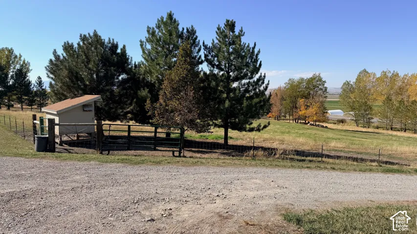 Expansive acreage featuring mature evergreen trees, a gravel access path, wire fencing, and an enclosed chicken coop outbuilding