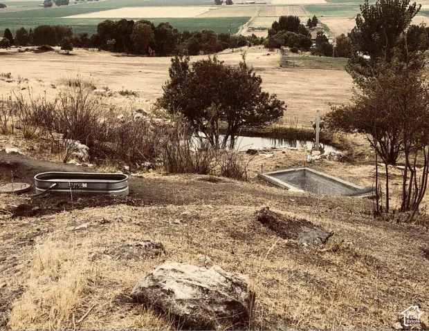 Upper lot area and spring pond