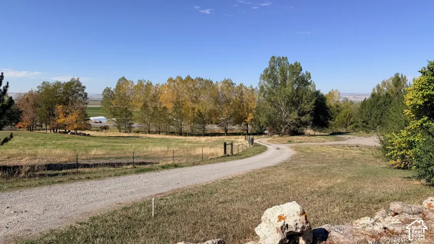 Expansive acreage featuring a winding gravel drive, mature deciduous trees, open meadow, and wire perimeter fencing