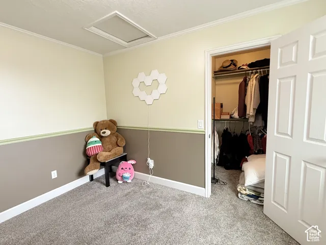 Neutral carpeted flooring, two-tone wall paint, interior chair rail, and walk-in closet with built-in shelving